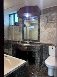 Toh Tuck Road (D21), Condominium #575936281